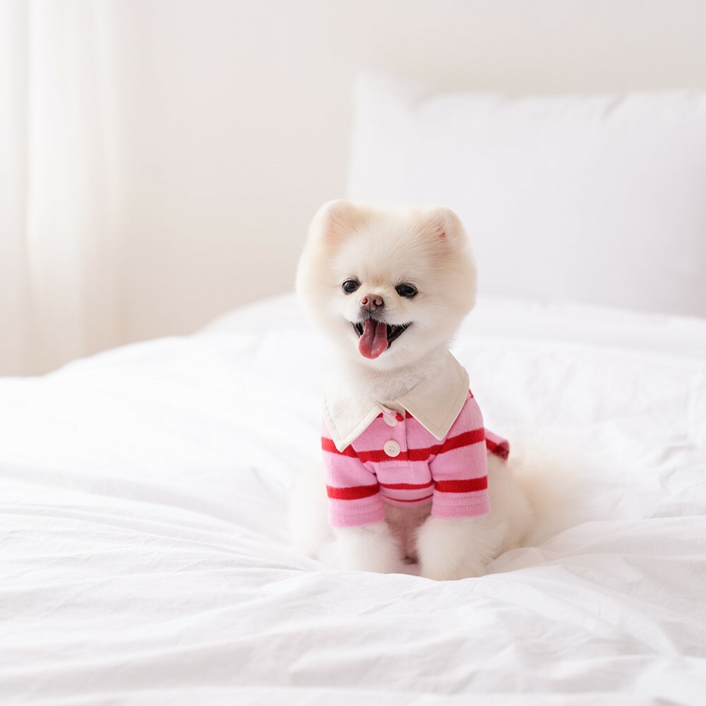 Noutti 粉紅經典梅西條紋Polo 衫