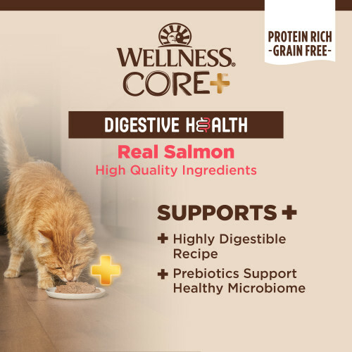 Wellness CORE+ Digestive Health 腸胃消化機能主食罐 3oz - 三文魚配方