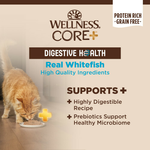 Wellness CORE+ Digestive Health 腸胃消化機能主食罐 3oz - 白魚配方