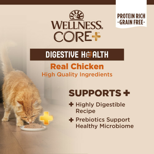 Wellness CORE+ Digestive Health 腸胃消化機能主食罐 3oz - 純鮮嫩雞配方