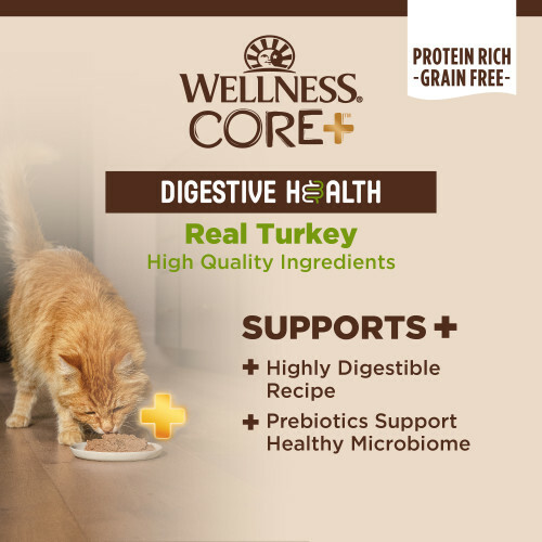 Wellness CORE+ Digestive Health 腸胃消化機能主食罐 3oz - 鮮火雞配方