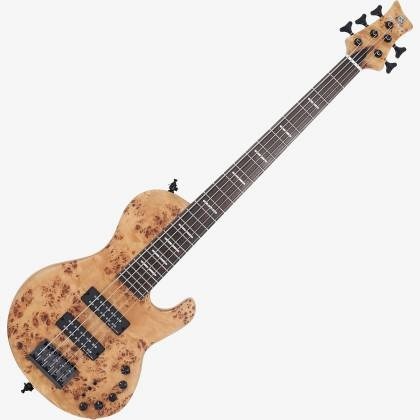 Sire Marcus Miller F10 樹瘤貼面 5弦 電貝斯
