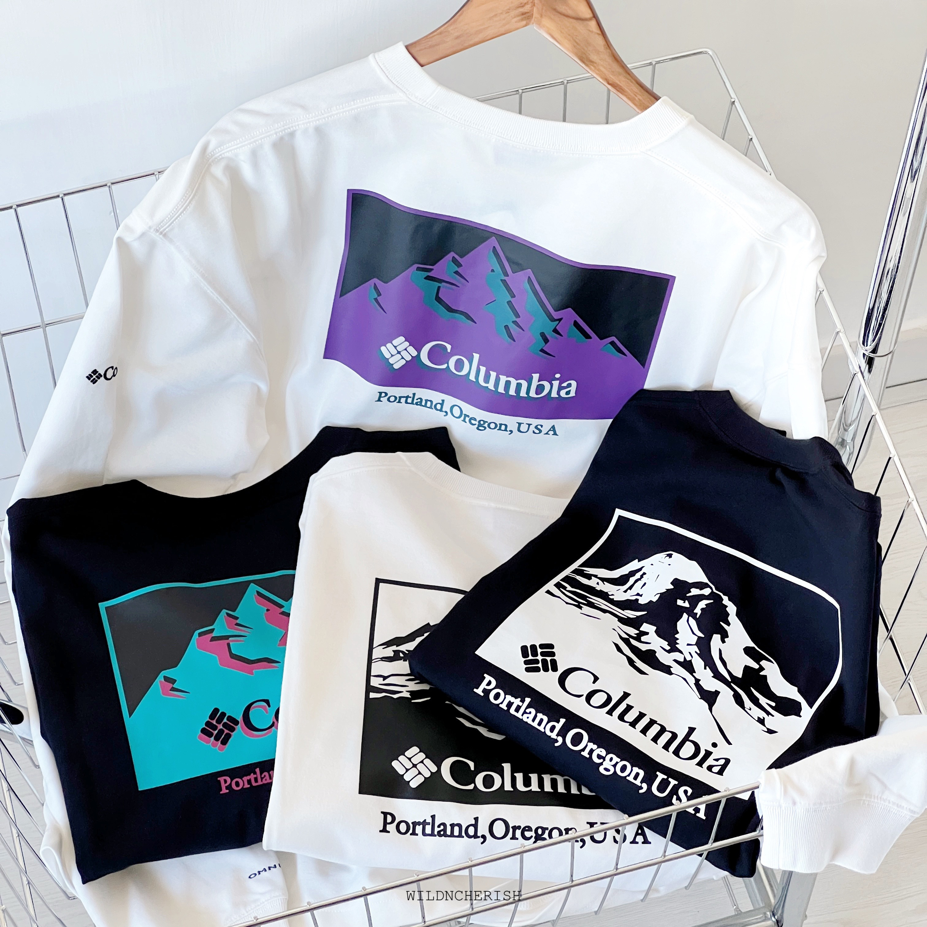 現貨 | Columbia Imperial Park Back Print L/S T-Shirt 長袖 日版