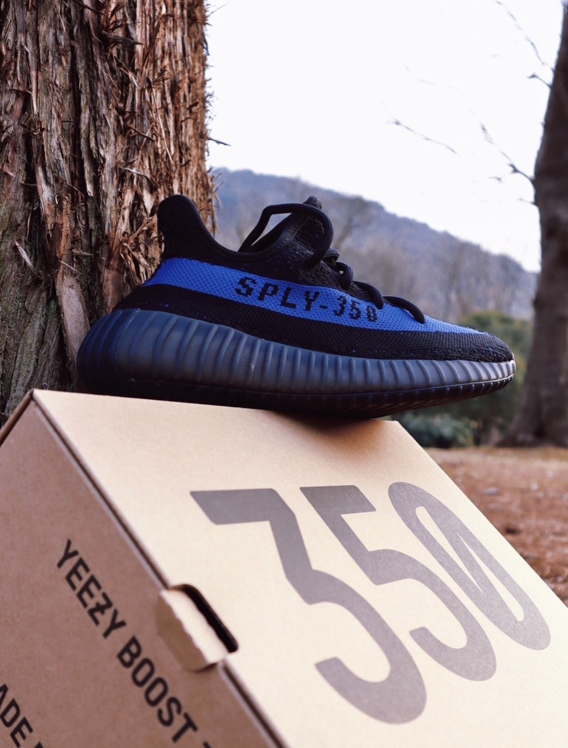 Adidas Yeezy Boost 350 V2 Dazzling Blue 黑藍 GY7164
