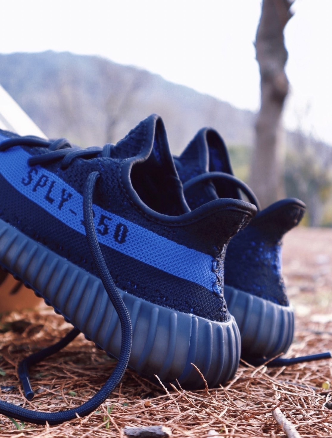 Adidas Yeezy Boost 350 V2 Dazzling Blue 黑藍GY7164
