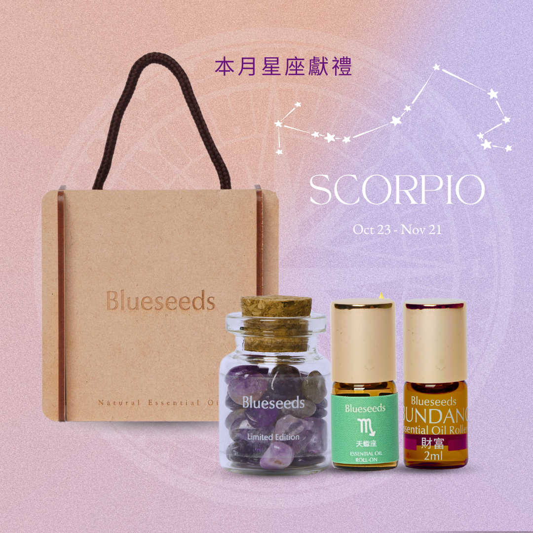 【最佳心意禮】助勢事業財運！天蠍座星座禮盒2+1組 祝你靈感源源不絕