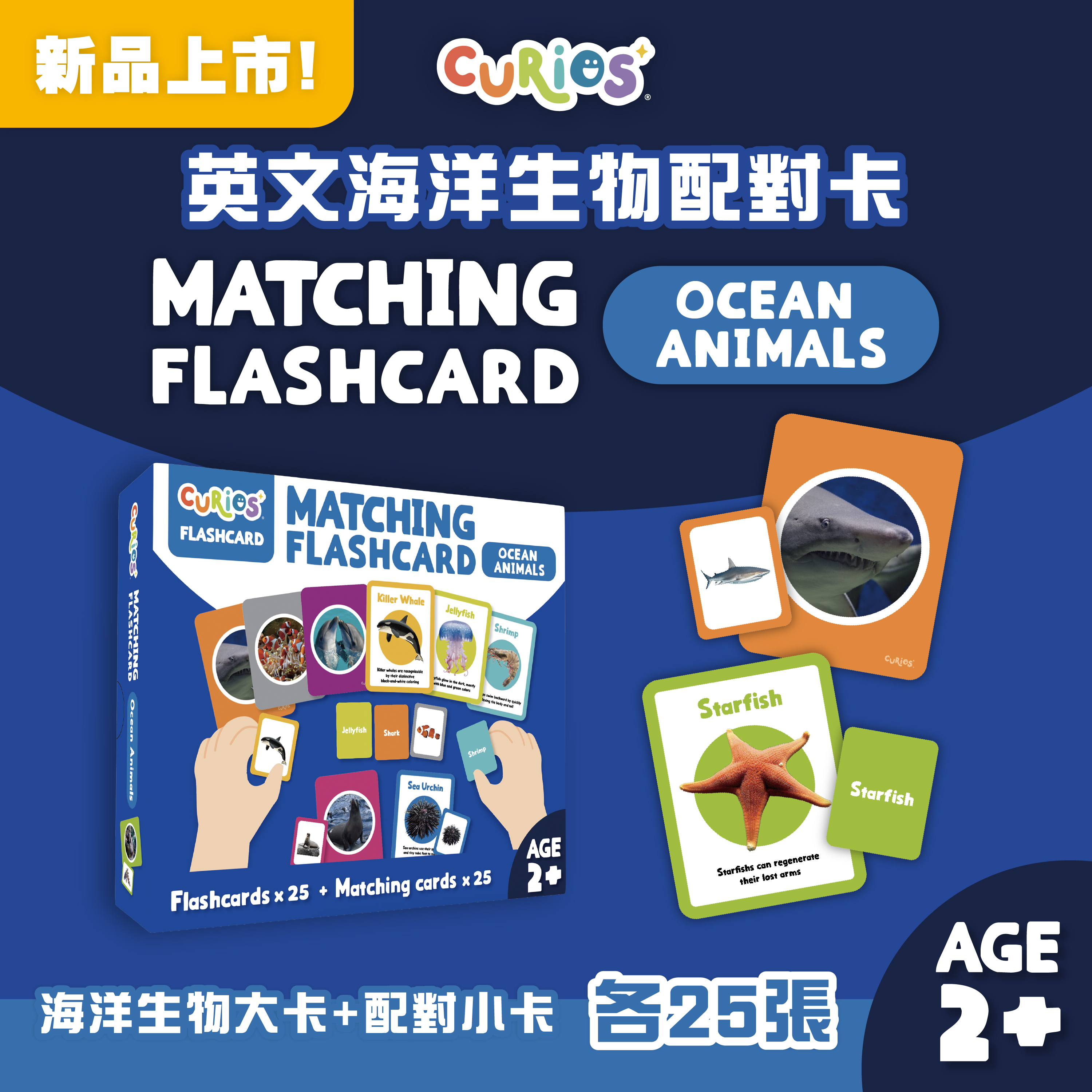 Curios® 英文海洋生物配對卡