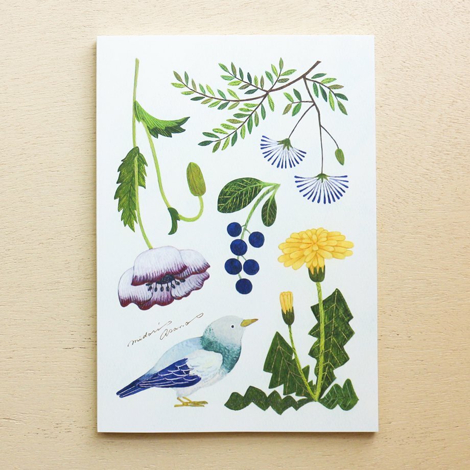 淺野綠_小鳥和野花 方格筆記本 A5｜日本表現社