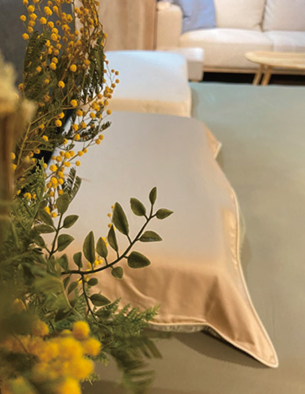 桃園枕頭專賣店