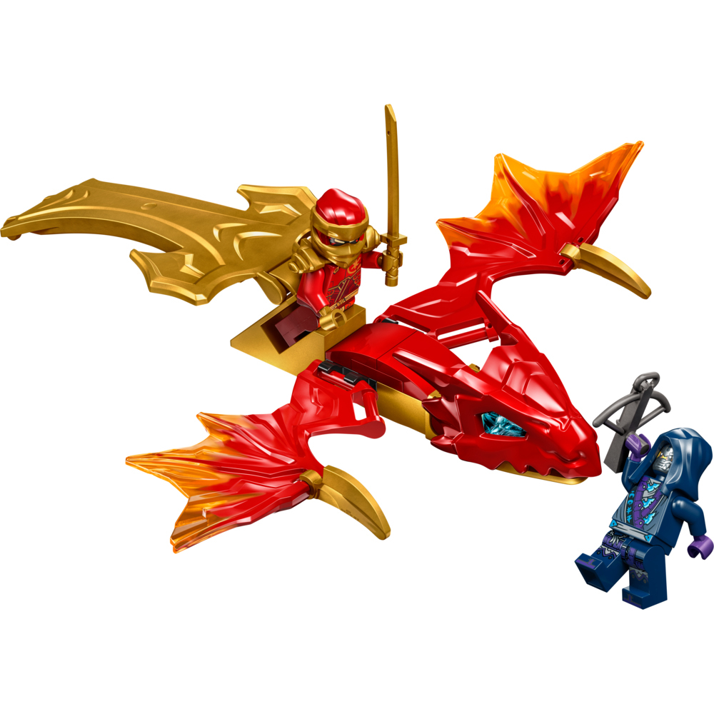 紅海波金龍 original.jpg?1730689855