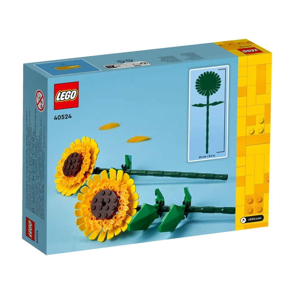 40524 Sunflowers