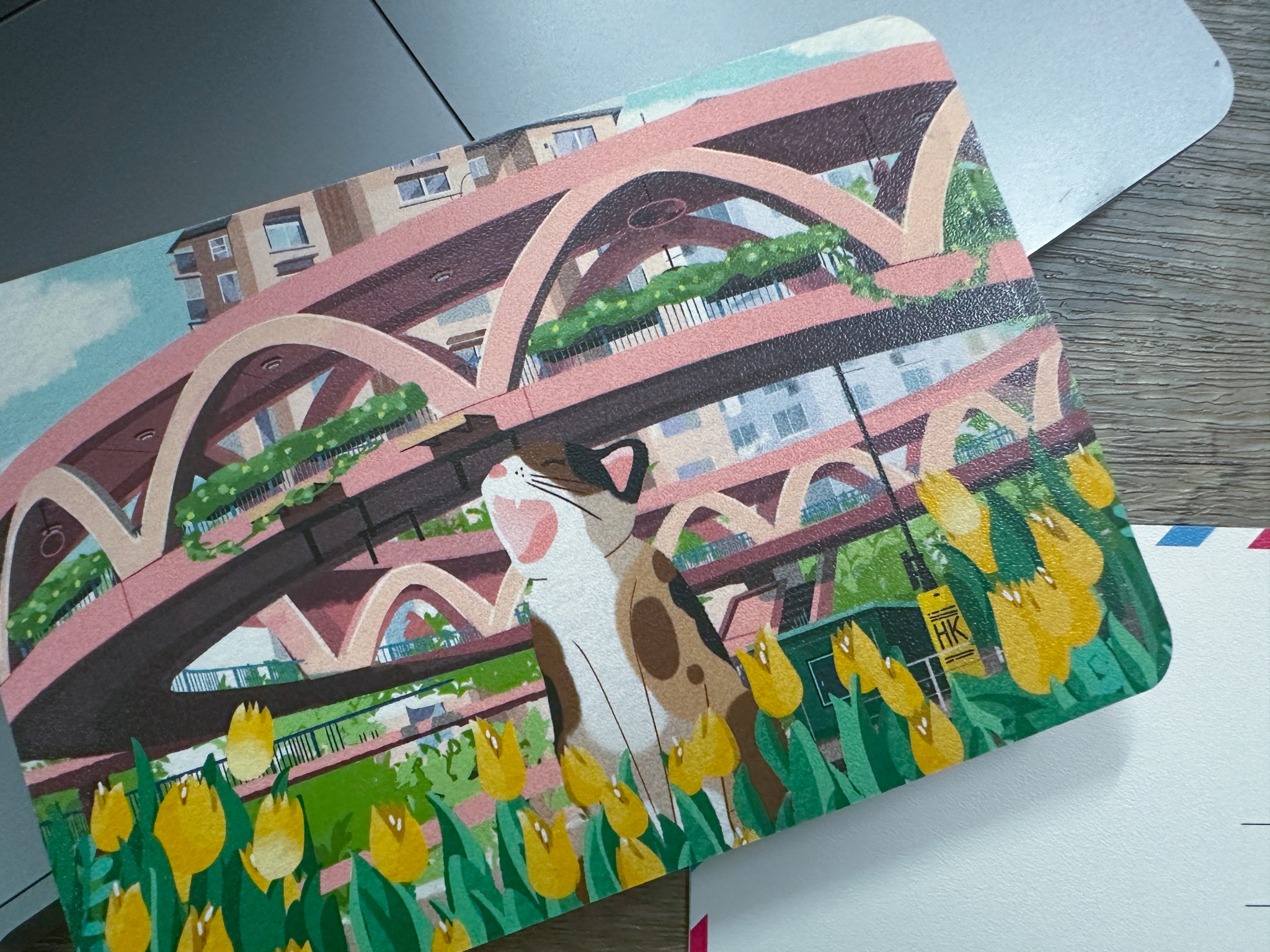 【貓遊街角 - 怡和街天橋  】 明信片丨Amazing Studio