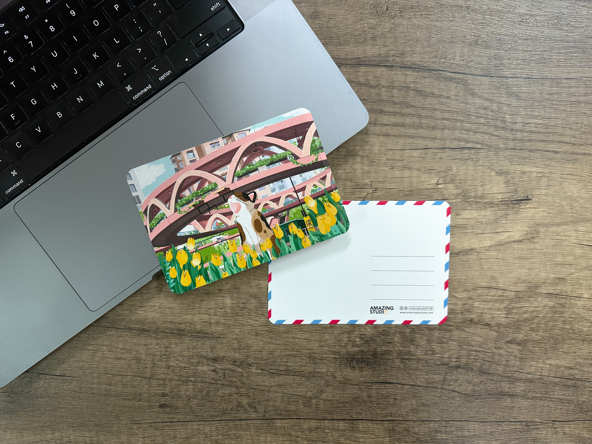 【貓遊街角 - 怡和街天橋  】 明信片丨Amazing Studio