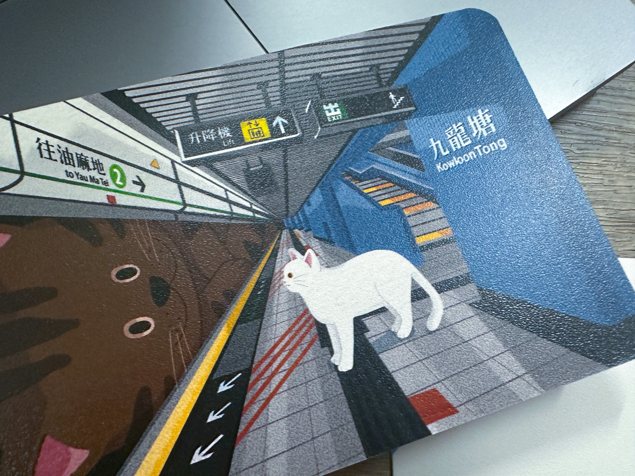 【貓遊街角 - 地下鐵碰著貓】 明信片丨Amazing Studio