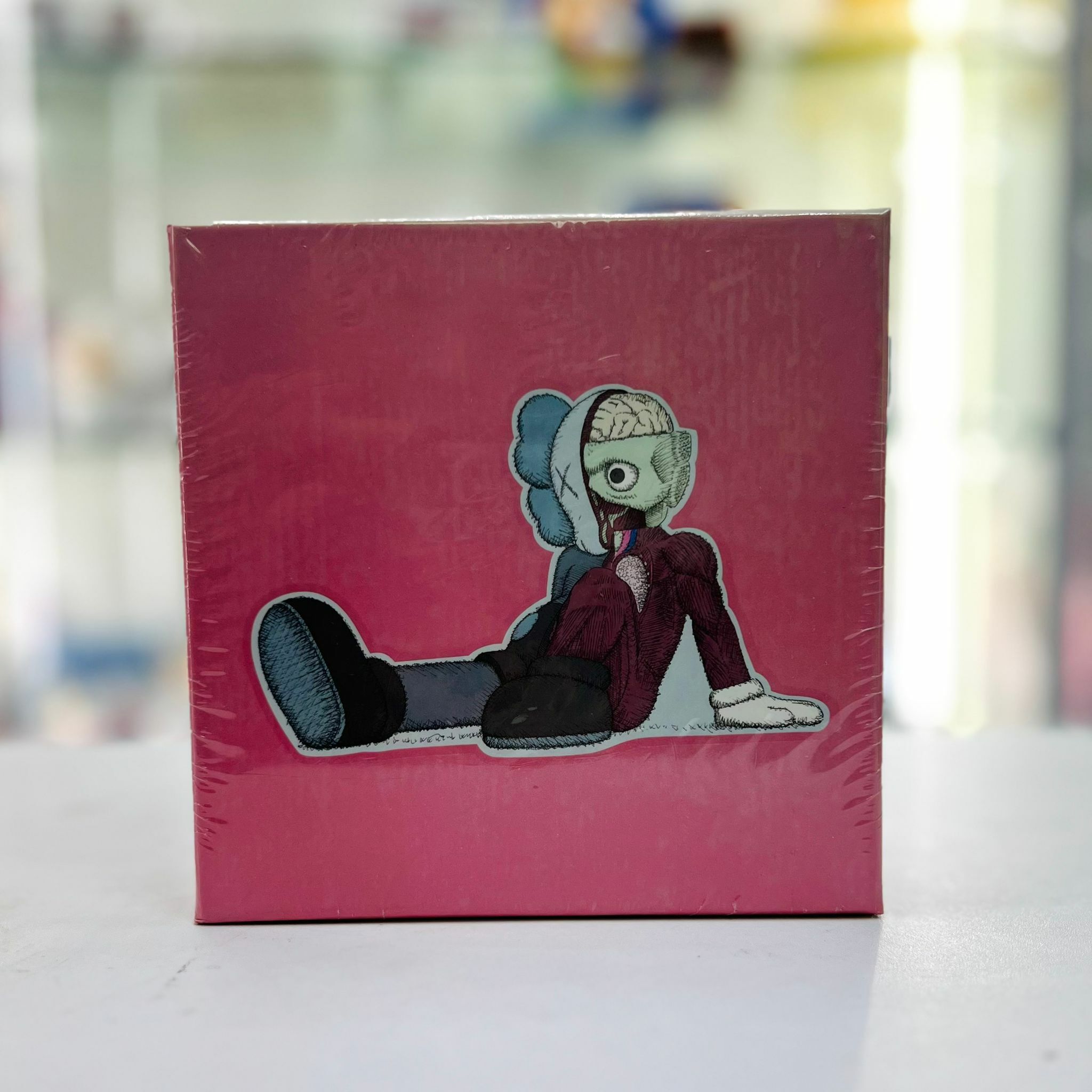 RESTING PLACE - Kaws Tokyo First Puzzle 100 pieces(外盒有明顯退色)