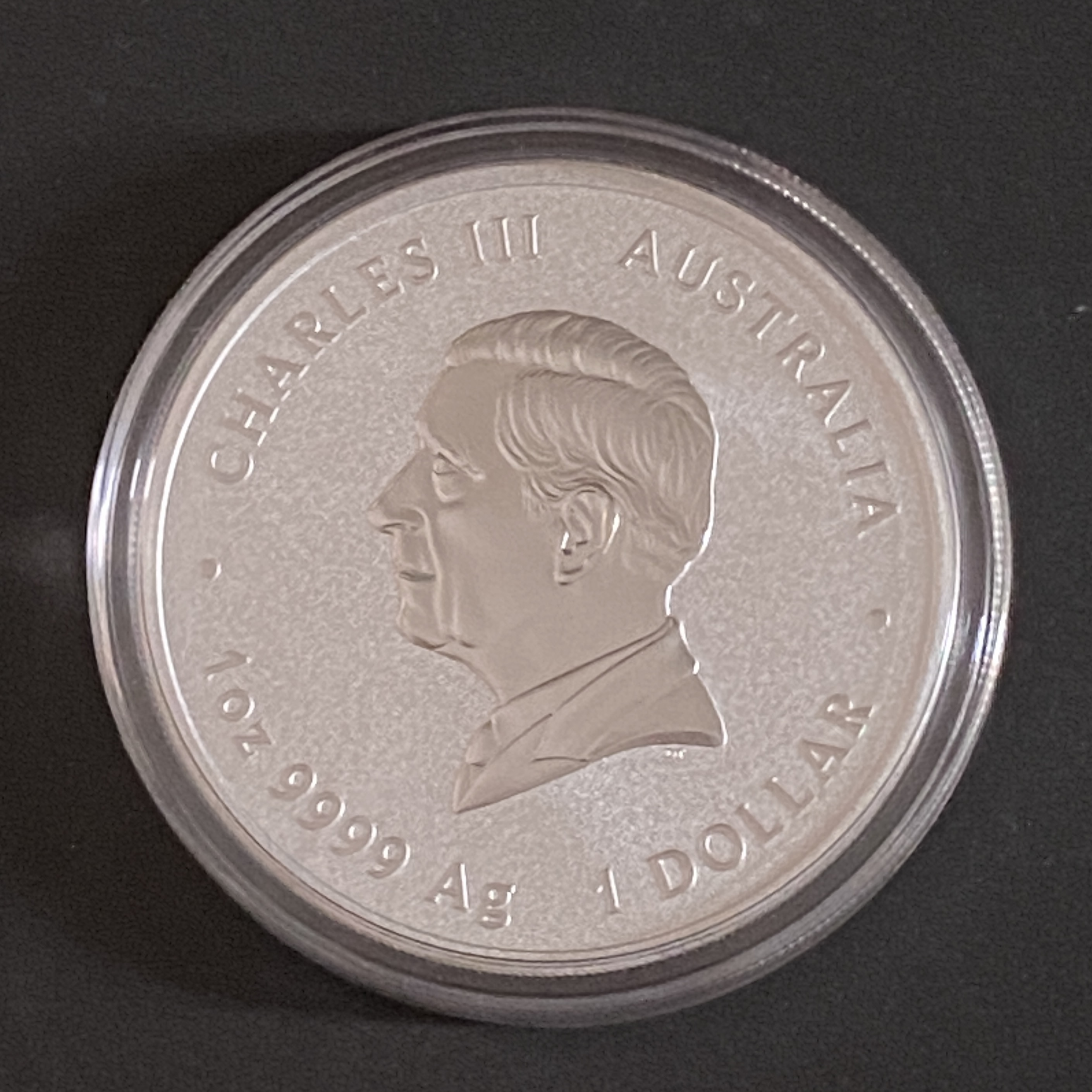 2025 Australian Year of the Snake 1 oz Silver Coin (Third Series)