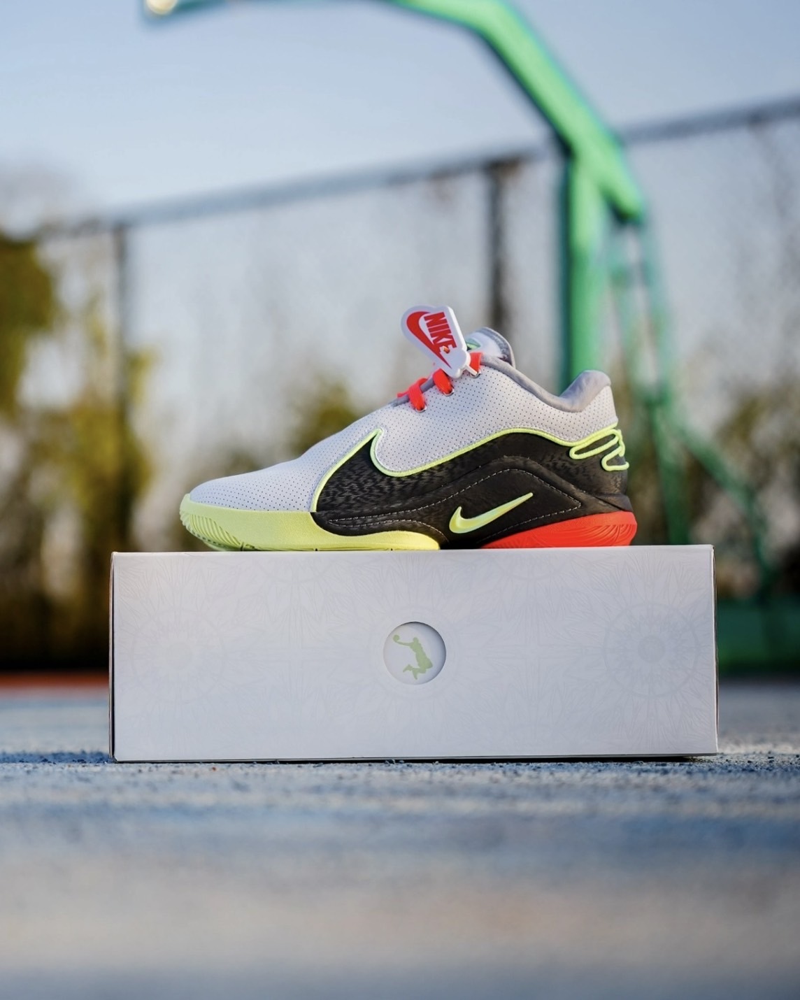 Nike Lebron XXII EP 22代 籃球鞋 運動 Crown Jewel LBJ 詹皇 灰黃