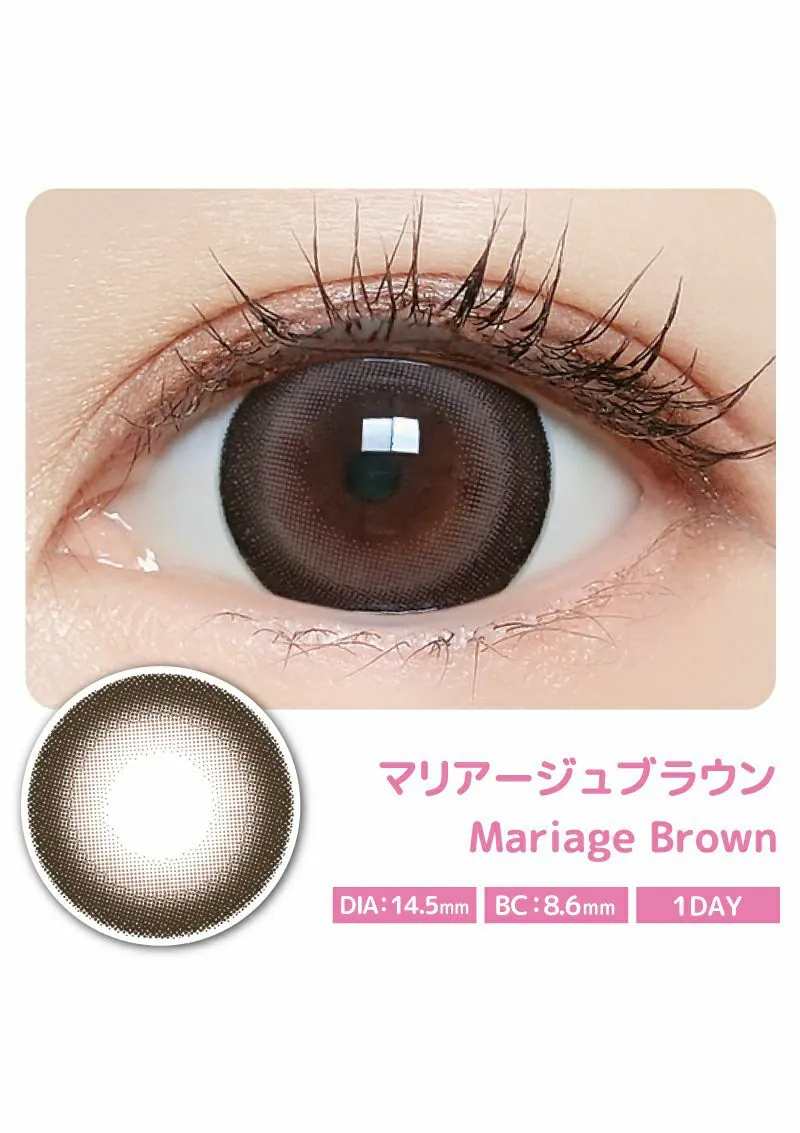 [日拋] Majette 1 Day Relax UV Moisture Mariage Brown 每日拋棄彩妝隱形眼鏡｜每盒10片