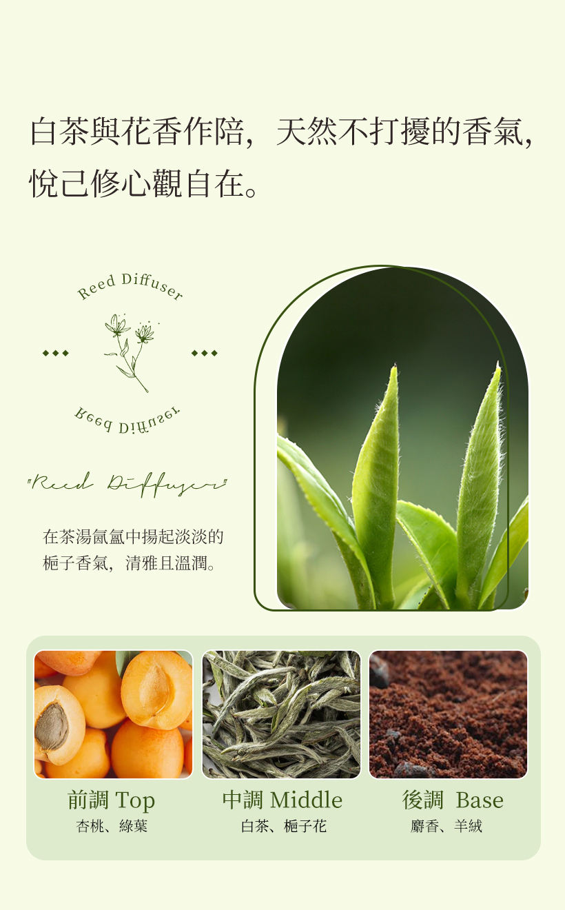 擴香瓶_無火香薰_茶香擴香