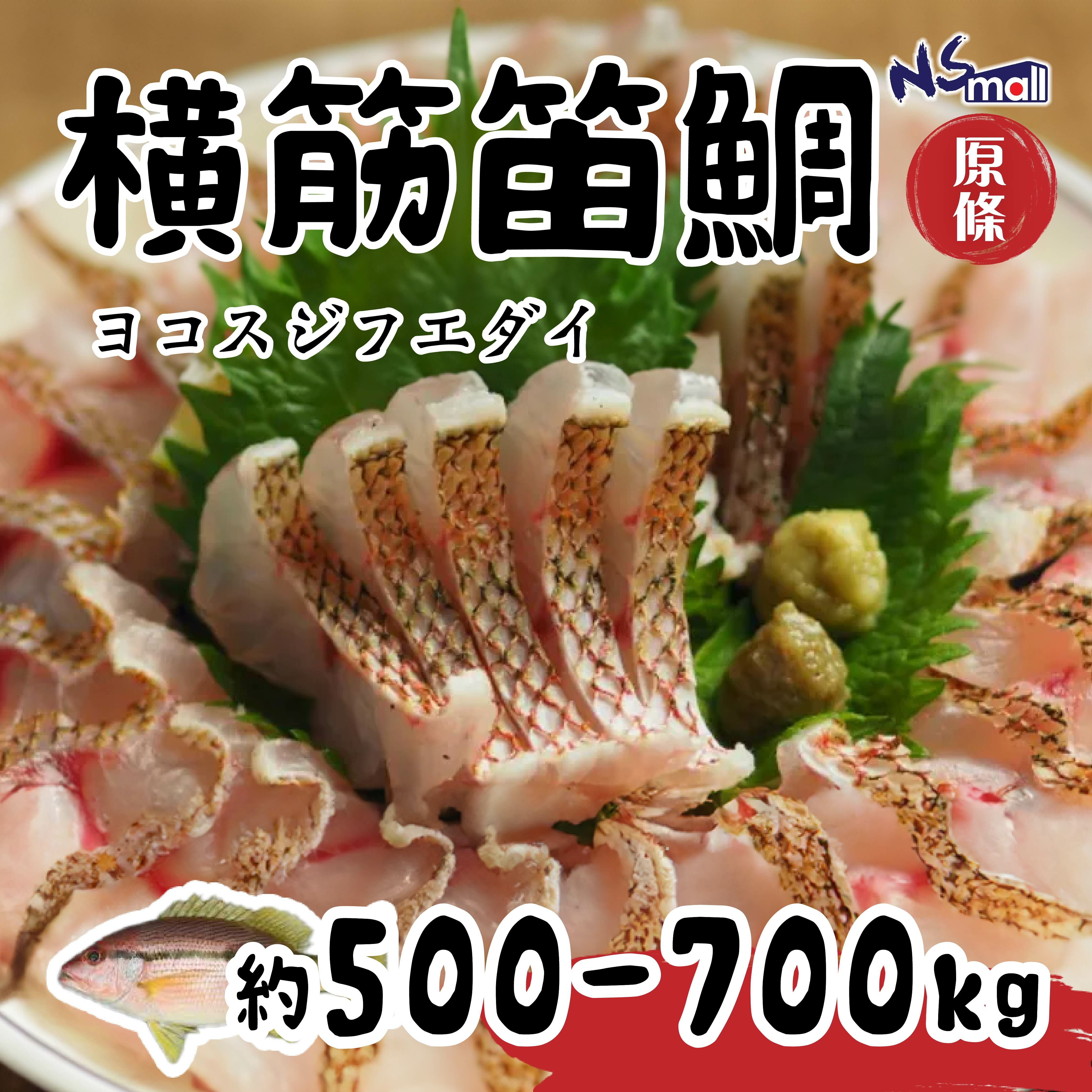 横筋笛鯛 約500-700g/條