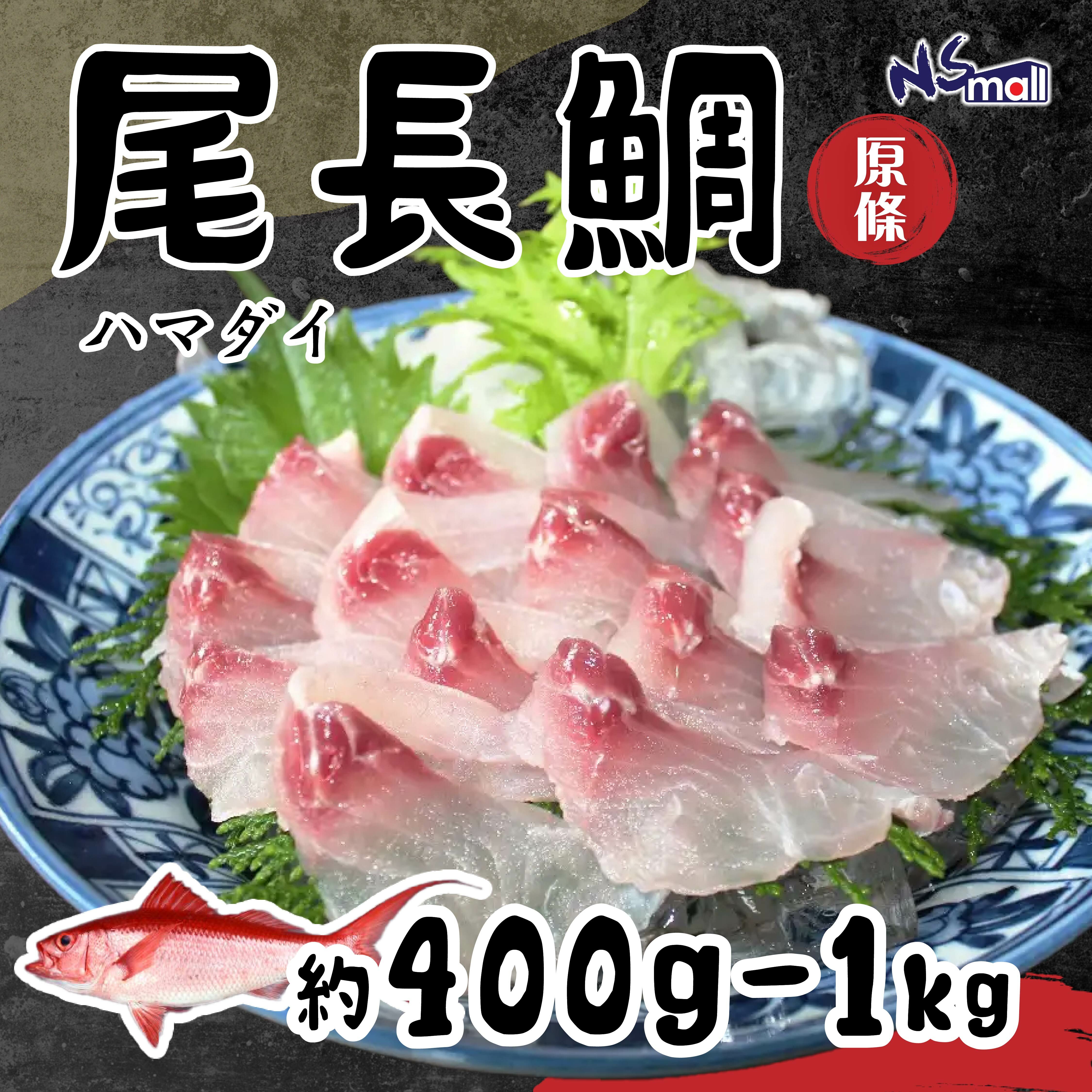 尾長鯛 (浜鯛)  約400g-1kg/條