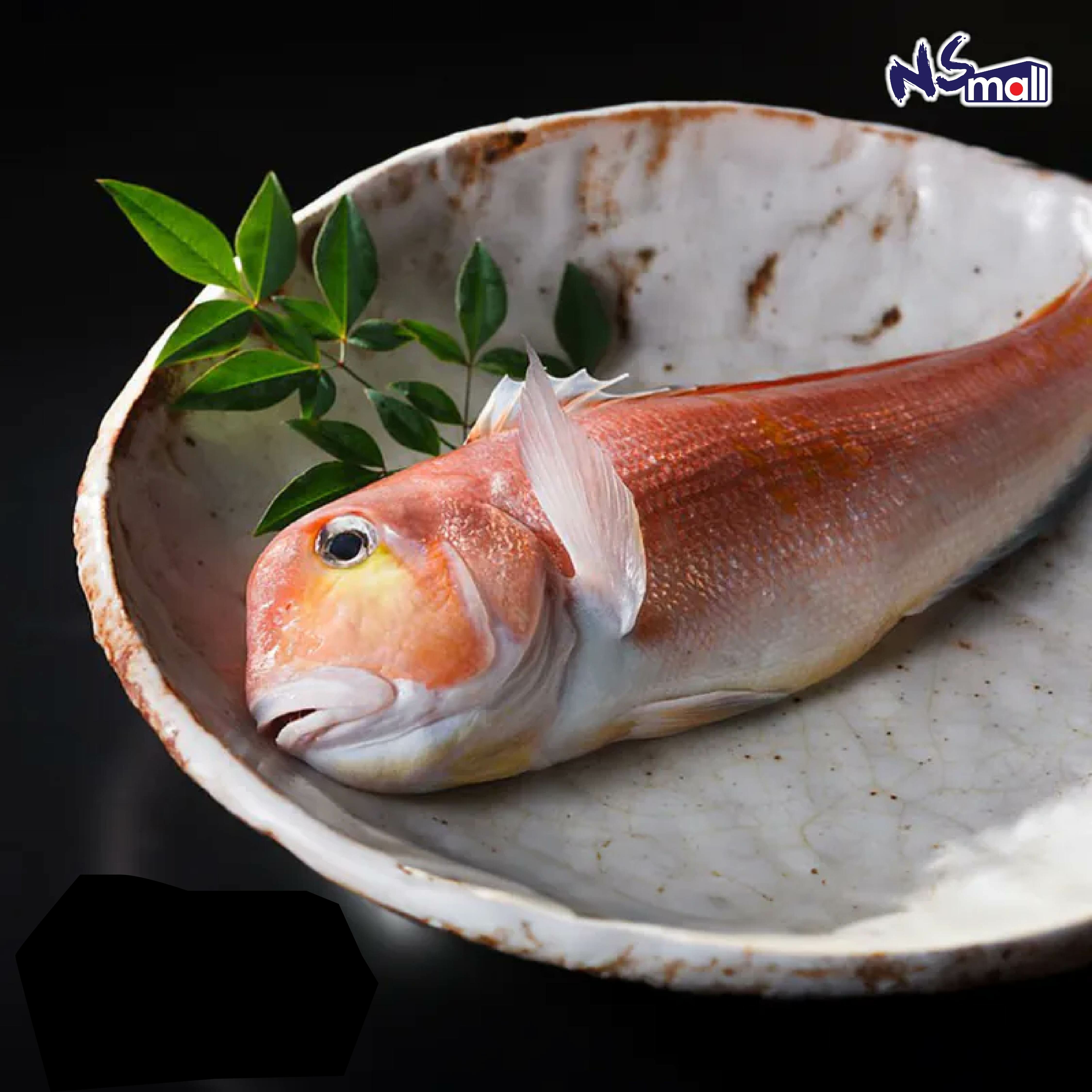 甘鯛 約800g-1kg/條