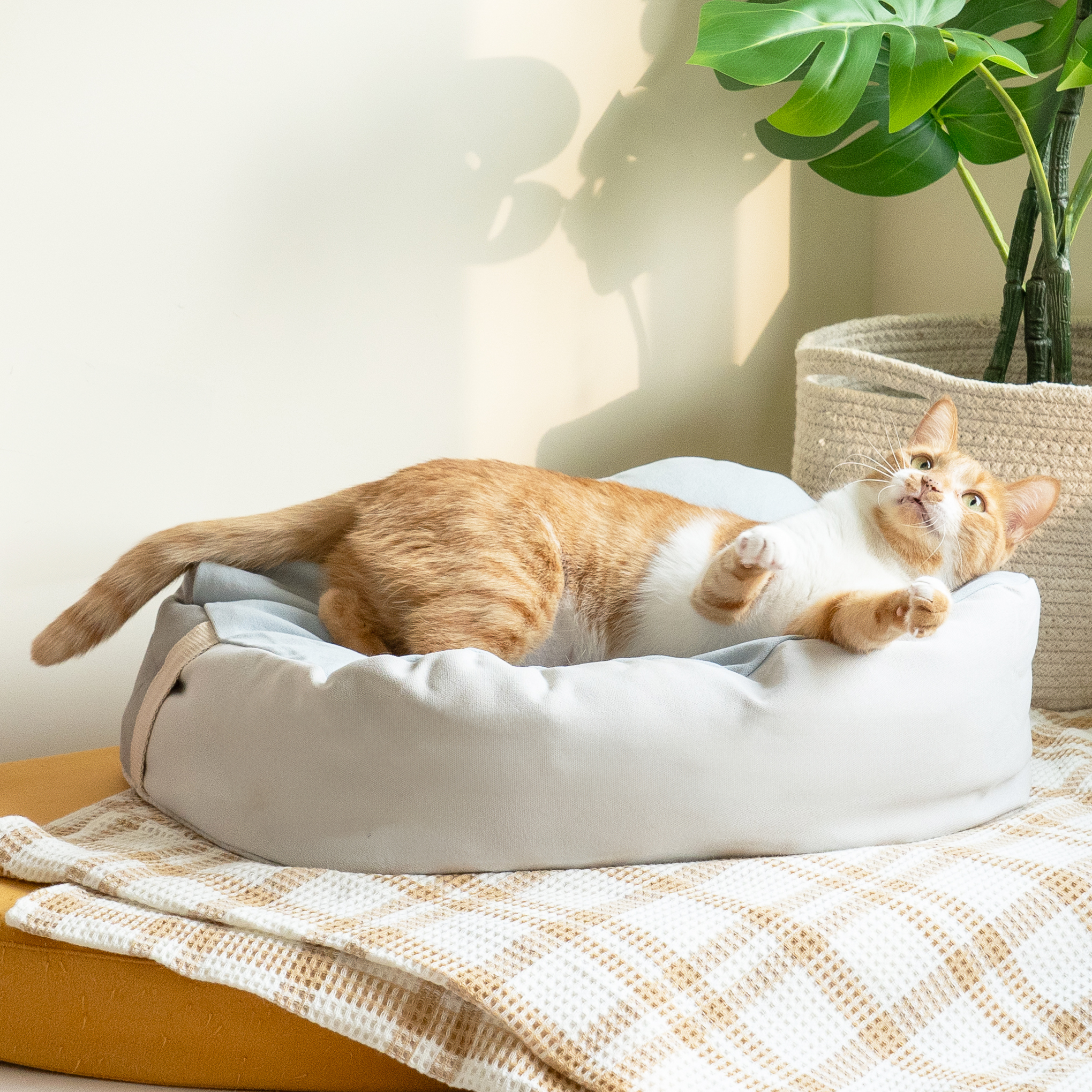 好味小姐 - 懶骨頭 慵懶躺床