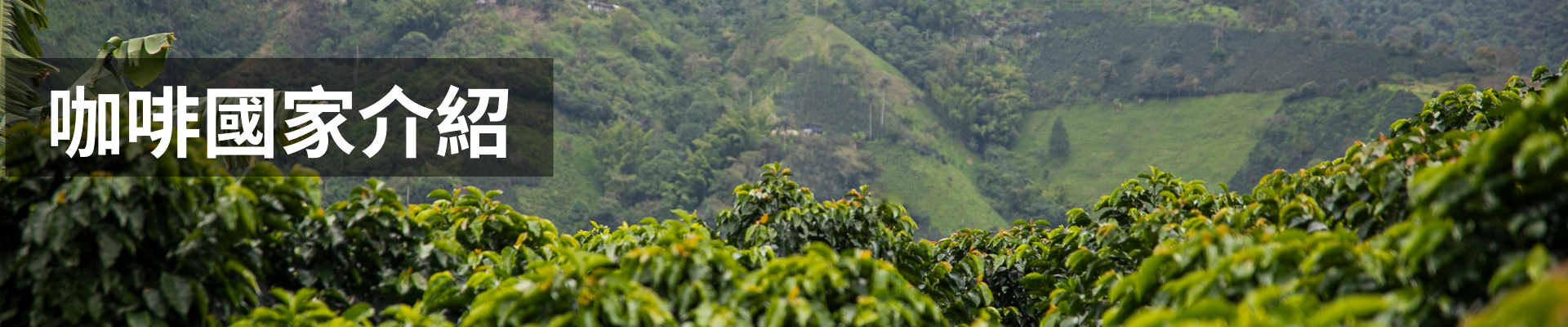 咖啡國家介紹｜暖窩咖啡 部落格文章