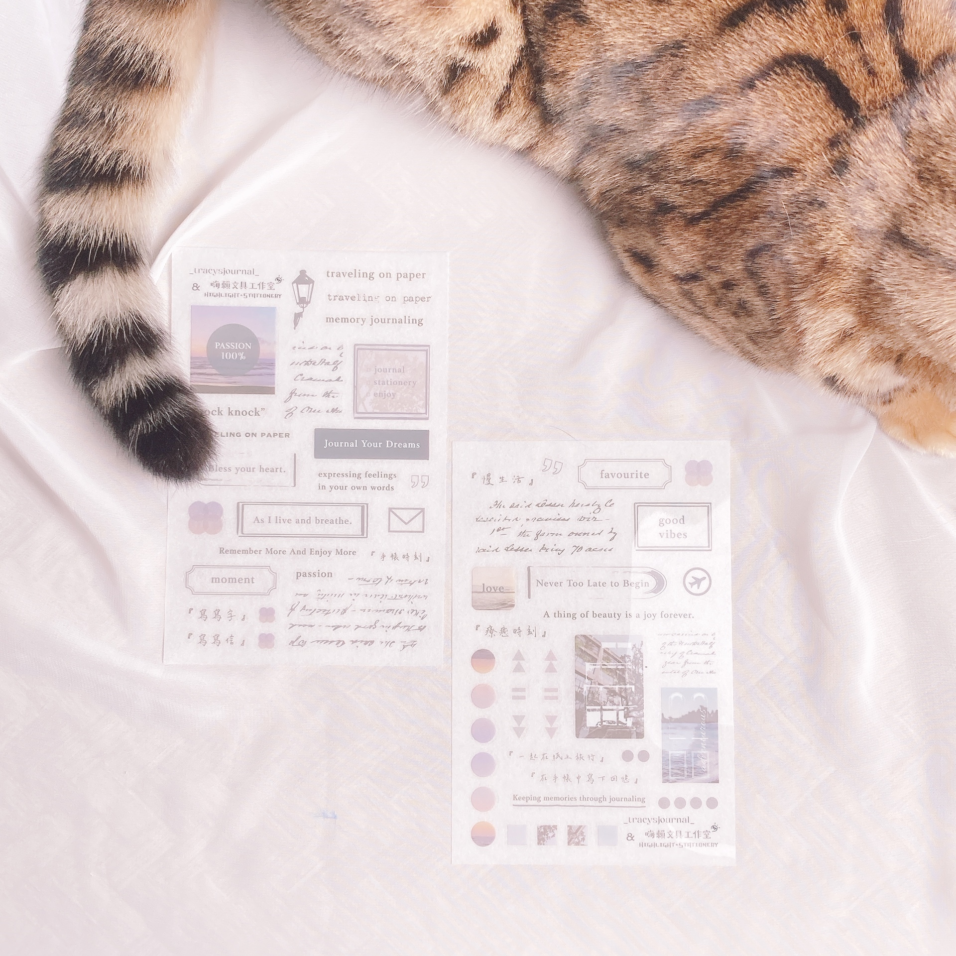 嗨賴 x 紙上旅行｜Journal Ideas 轉印貼紙 - 手帳展合作款
