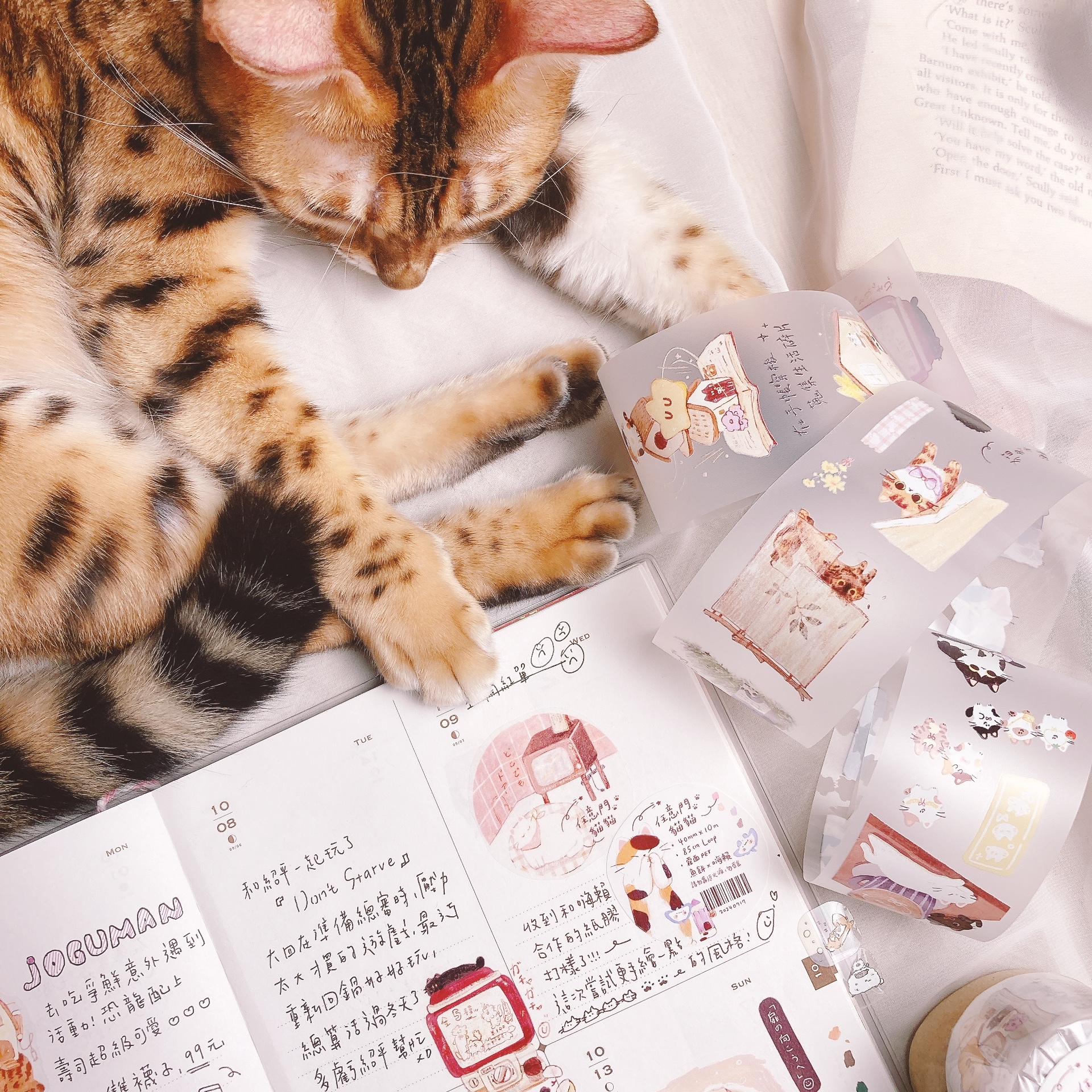 嗨賴 x 魚餅｜任意門貓貓 PET膠帶 - 手帳展合作款