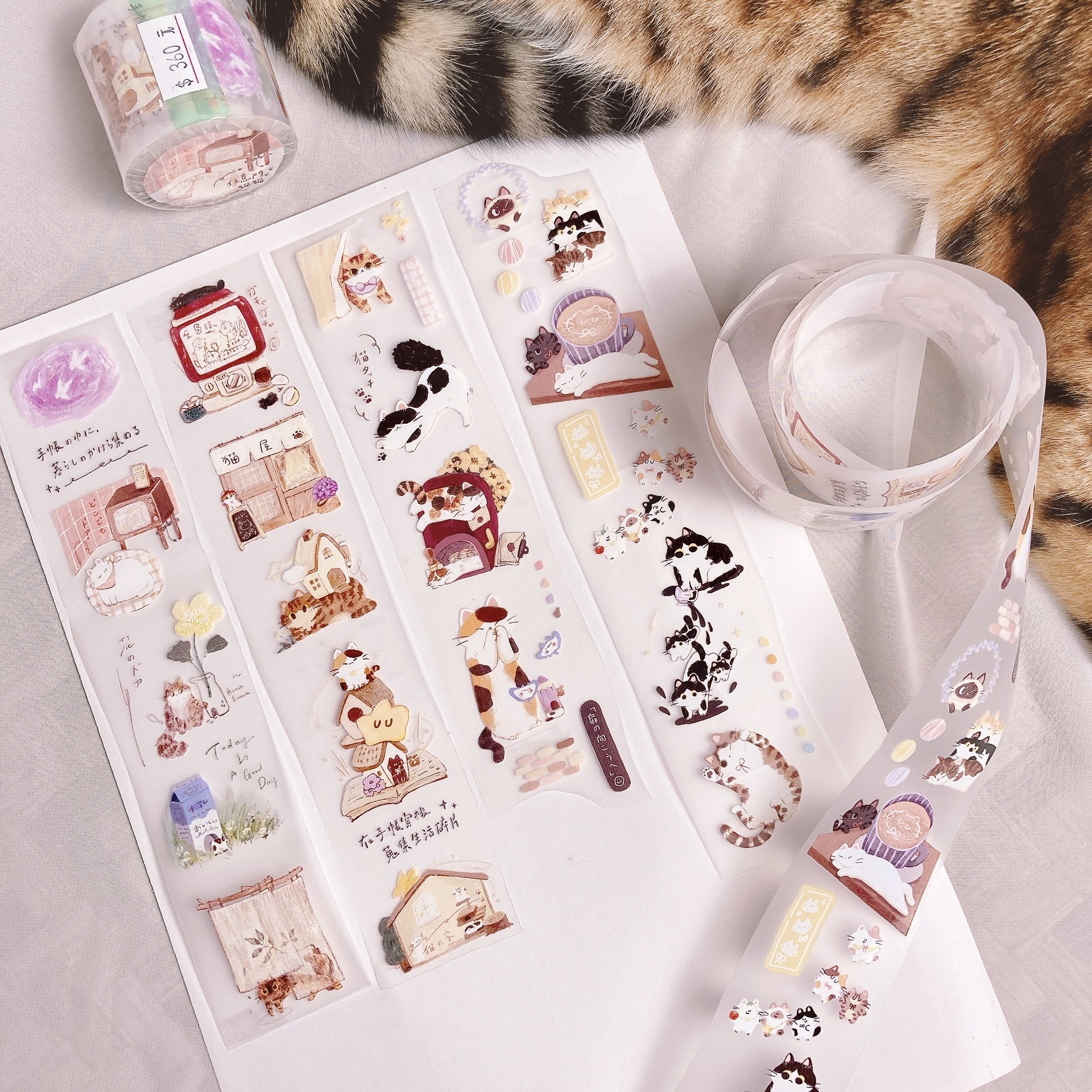 嗨賴 x 魚餅｜任意門貓貓 PET膠帶 - 手帳展合作款