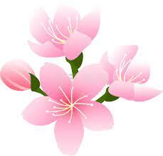 預購上限沒有加購品