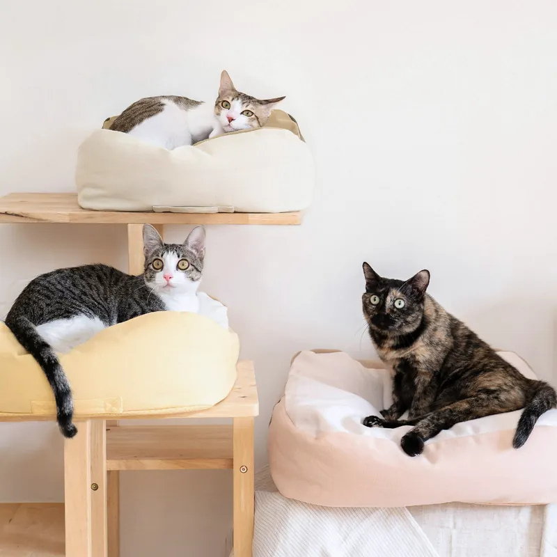 好味貓懶骨頭｜好味小姐 懶骨頭 貓咪地墊 貓睡床