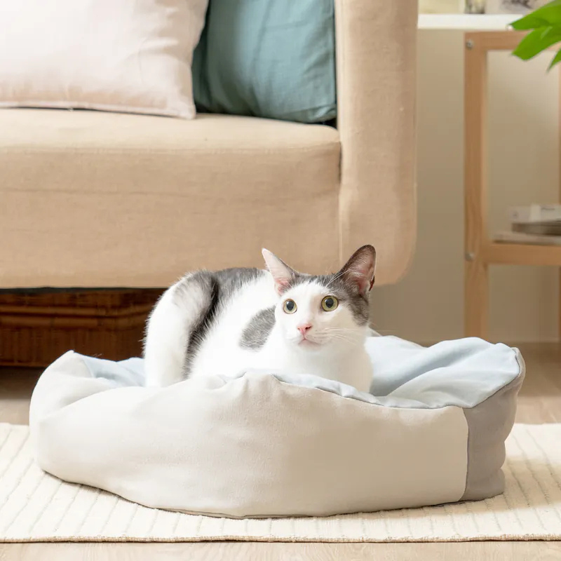 好味貓懶骨頭｜好味小姐 懶骨頭 貓咪地墊 貓睡床