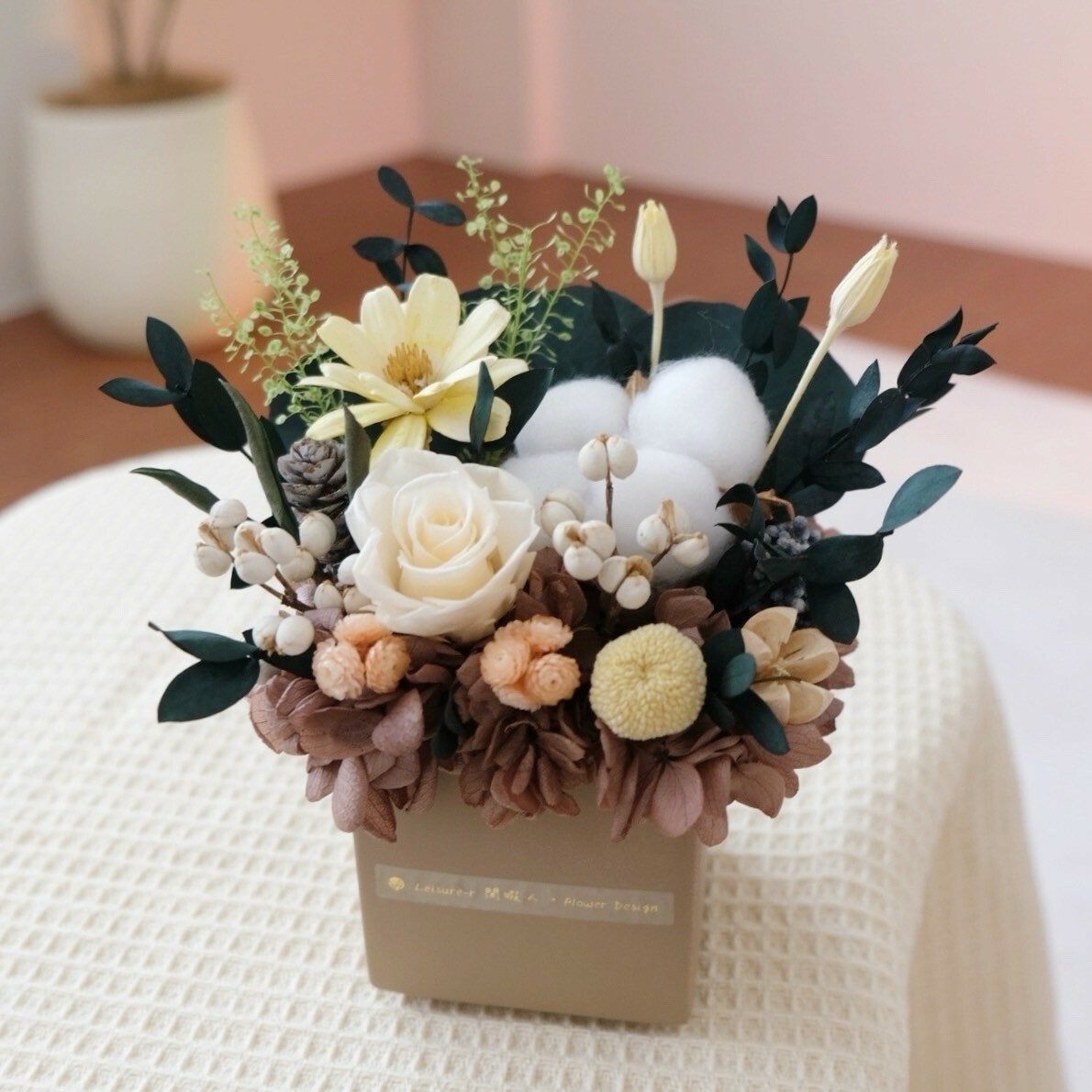 方型永生小盆花 咖啡