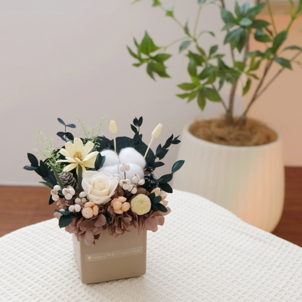 方型永生小盆花 咖啡