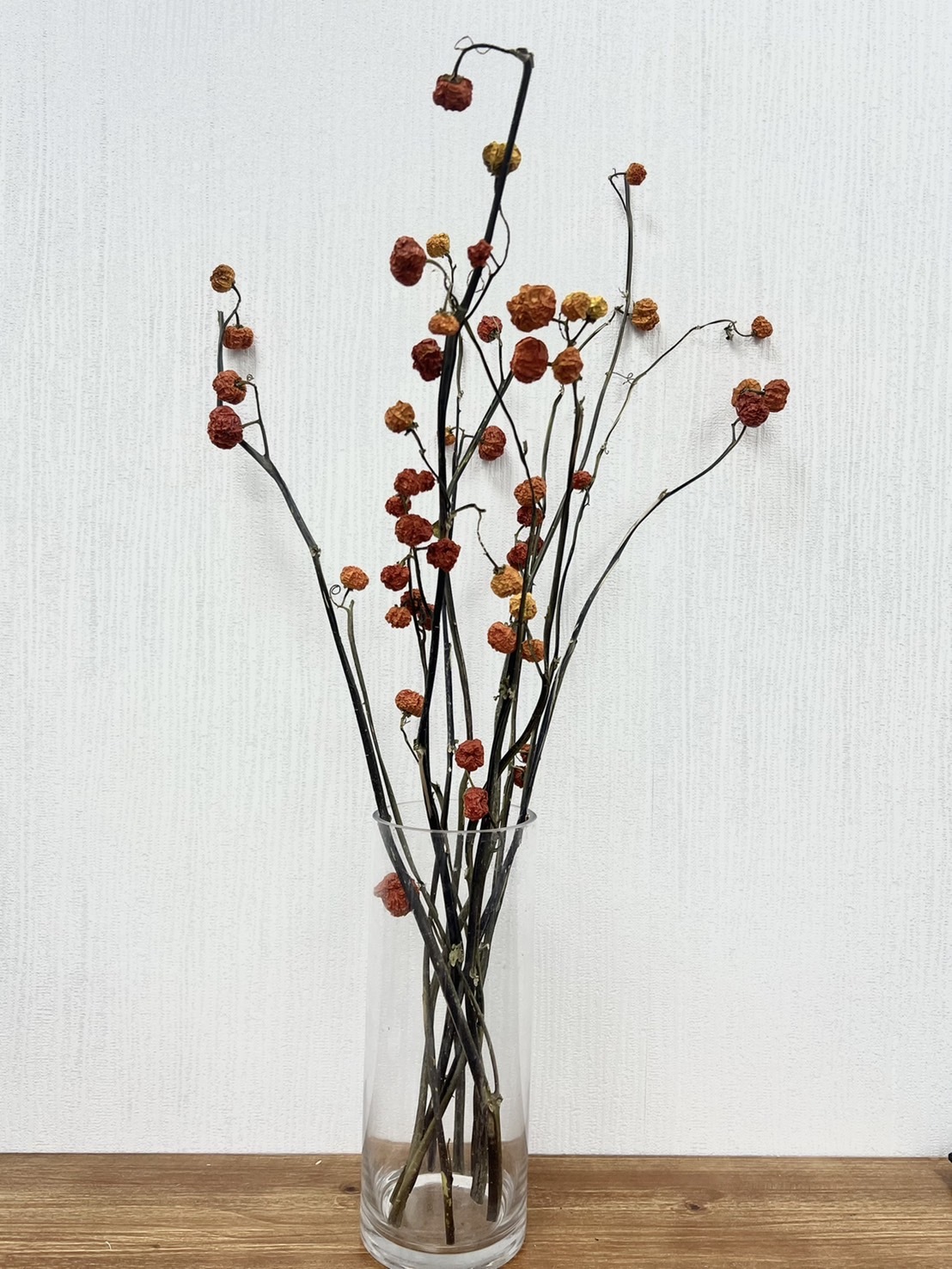 乾燥南瓜(帶枝條)