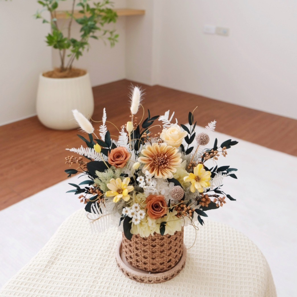 假期的午後陽光永生盆花 / 森色