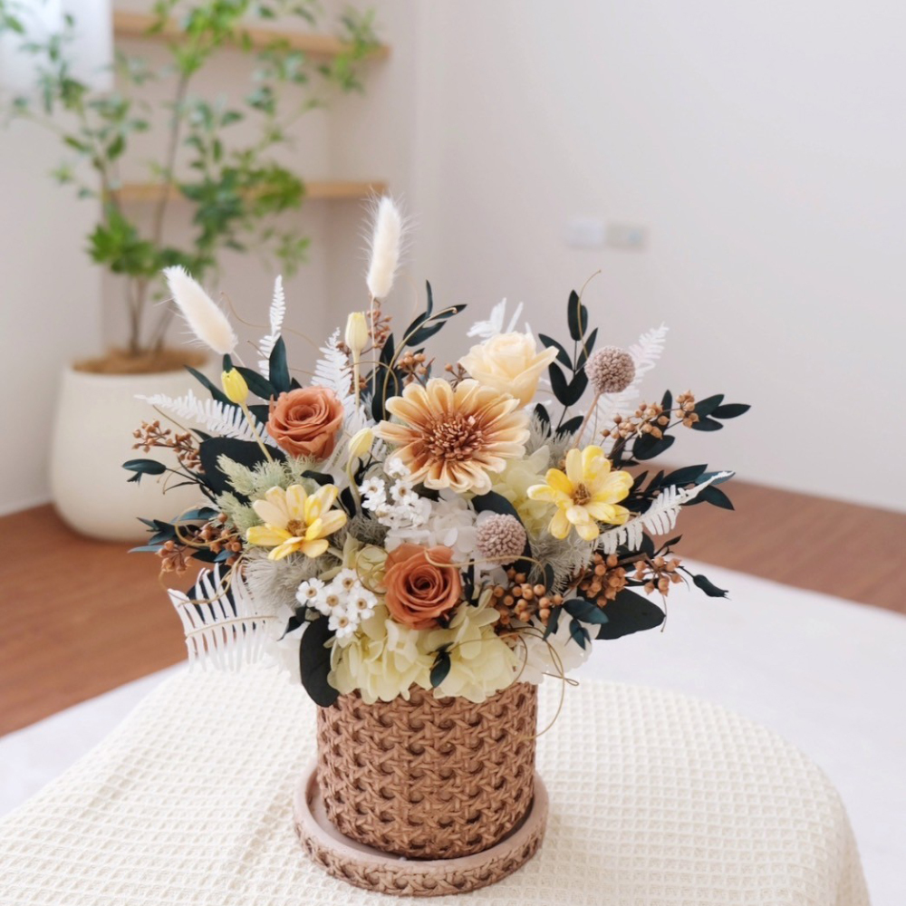 假期的午後陽光永生盆花 / 森色