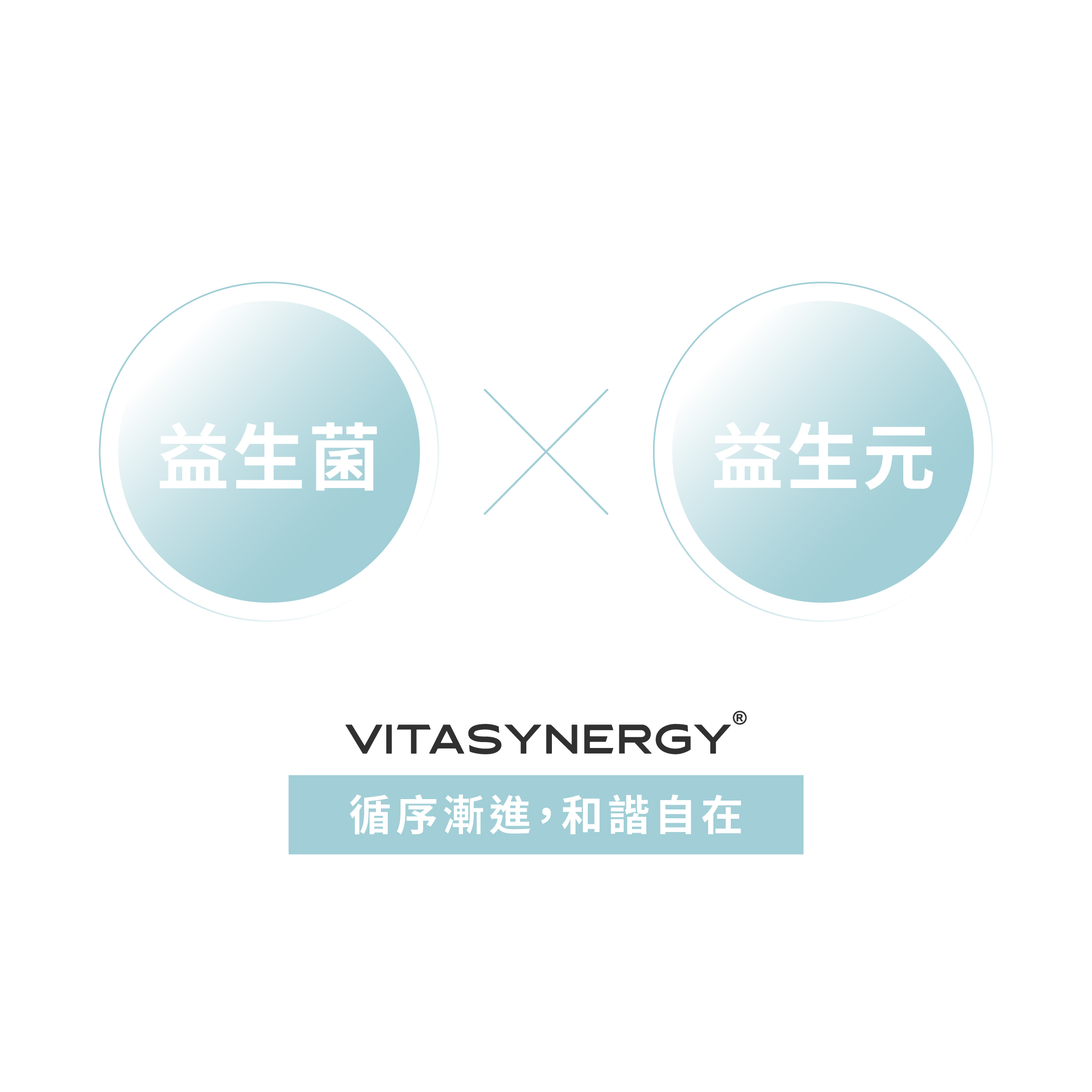 vitasynergy營養加成配方益生菌和益生元