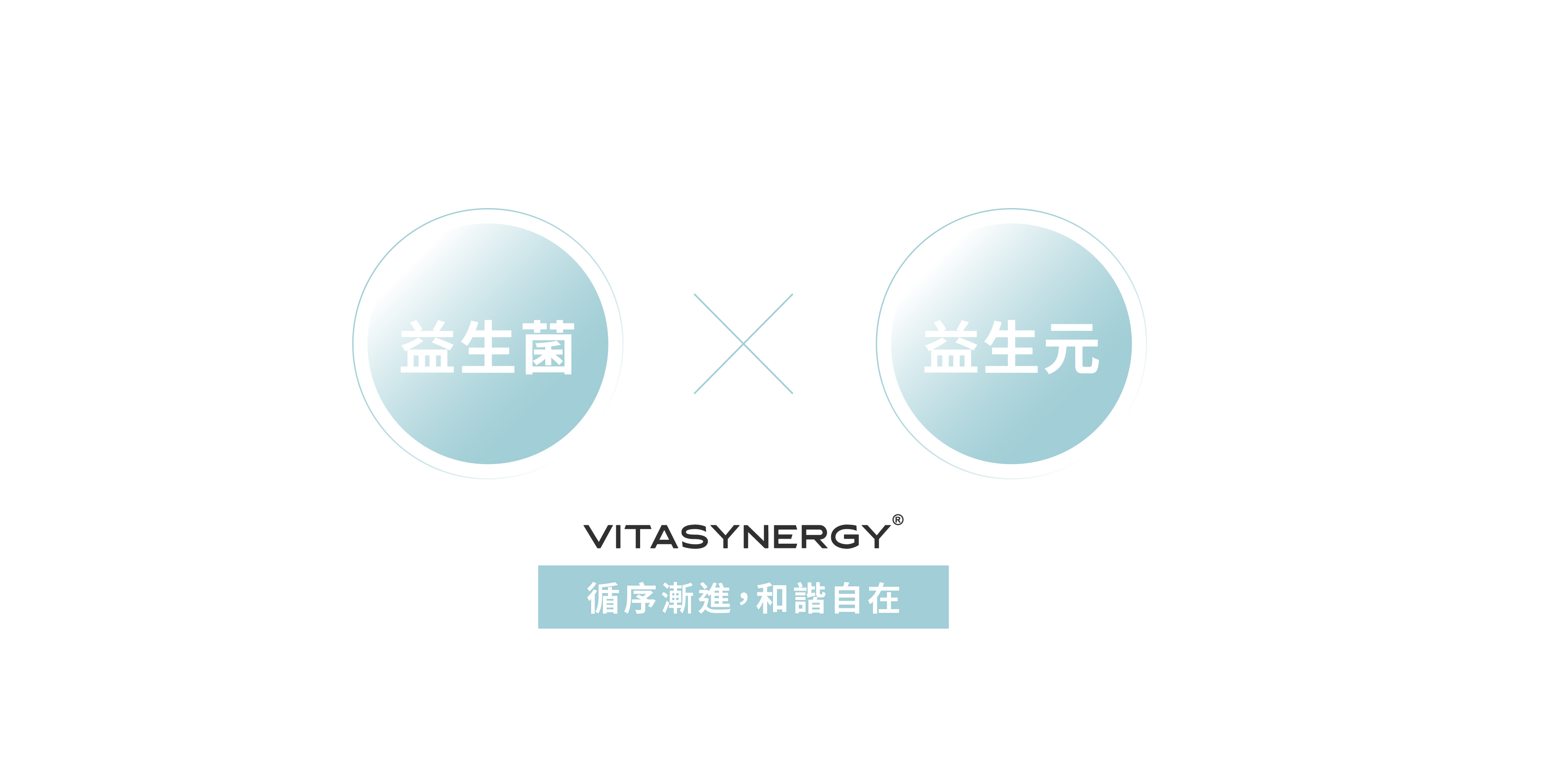 vitasynergy營養加成配方益生菌和益生元