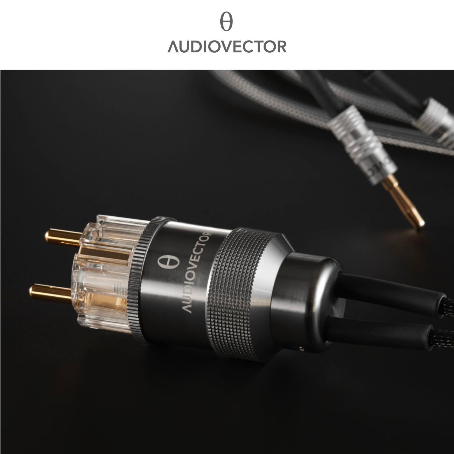 Audiovector Freedom Concept 接地線