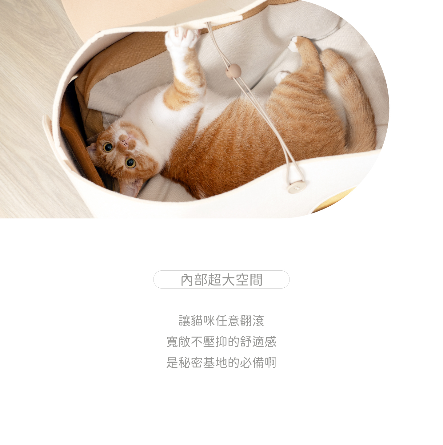 好味小姐懶骨頭.好味貓帳篷