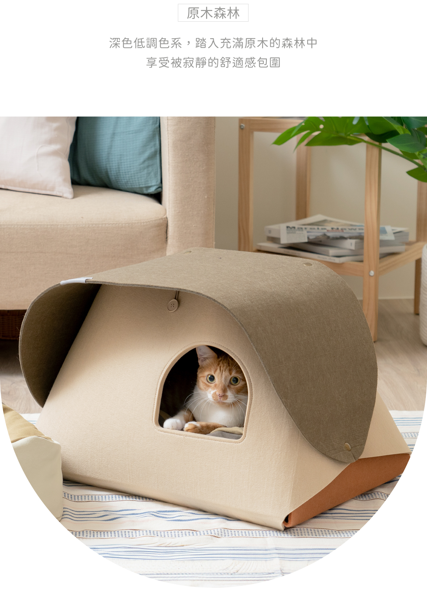 好味小姐懶骨頭.好味貓帳篷