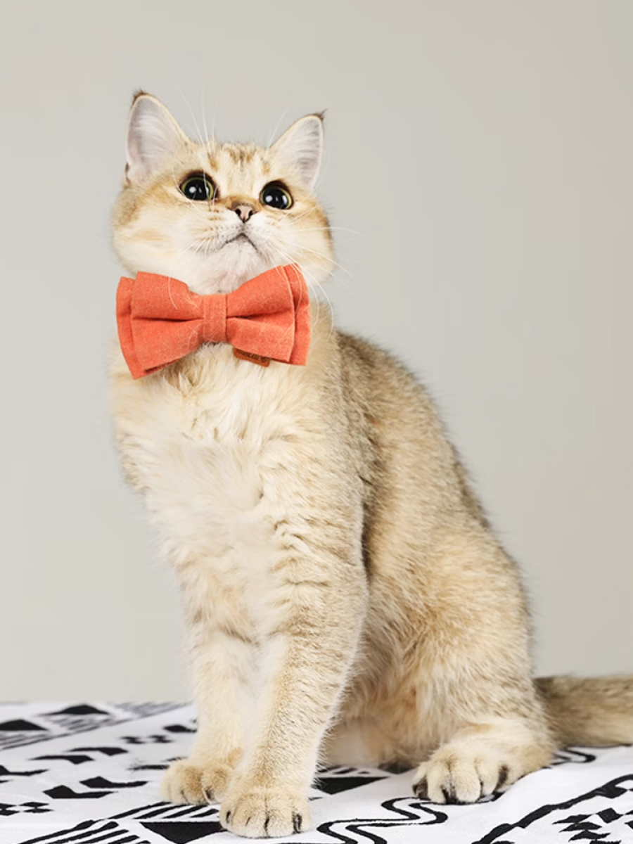 【美好毛日】Pawsholic爪迷 貓咪安全領結項圈｜晴日甜梨