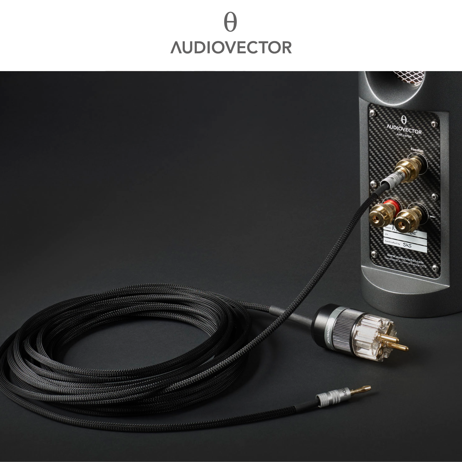 Audiovector Freedom Concept 接地線