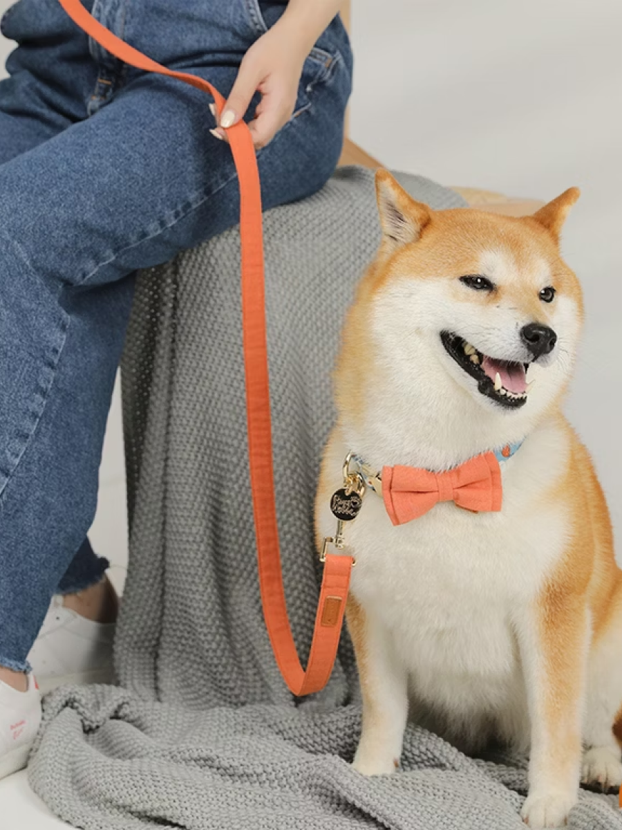 【美好毛日】Pawsholic爪迷 領結項圈｜晴日甜梨