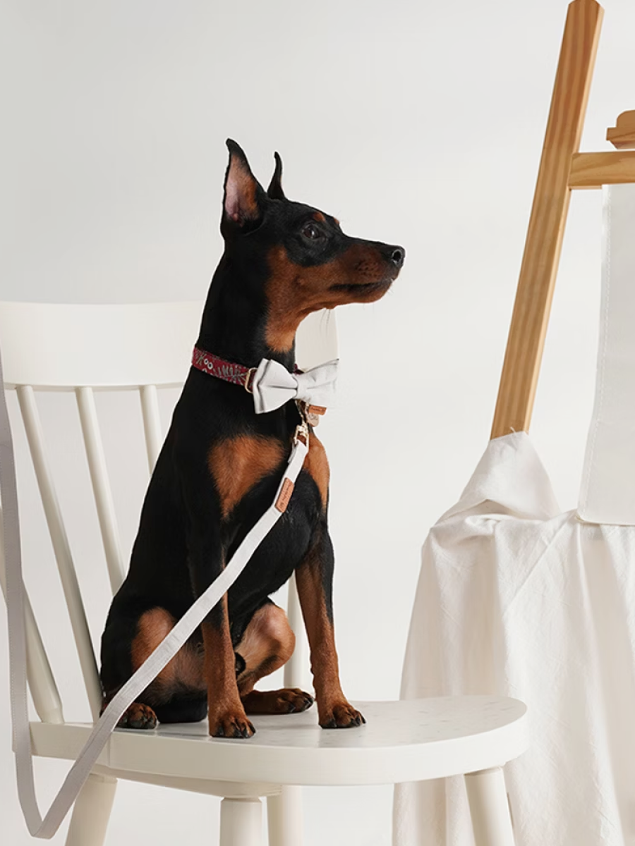 【美好毛日】Pawsholic爪迷 領結項圈｜小石榴