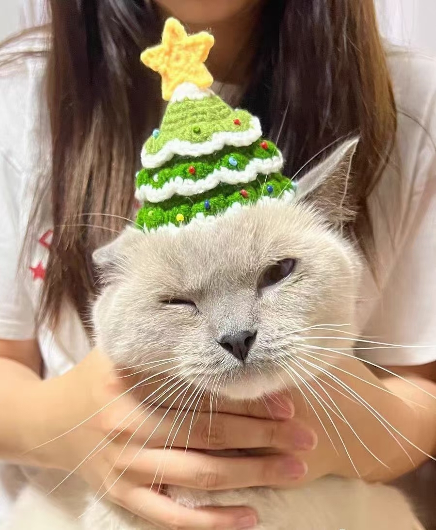 寵媽工房 - 寵物頭飾 (HC011) mini聖誕樹帽