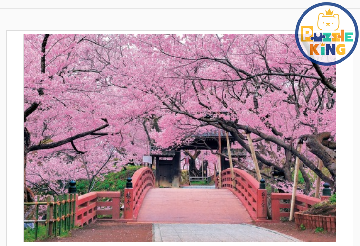 長野-天下一之桵-高遠城址 (絕版)